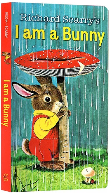 Bedtime Story Book Collection