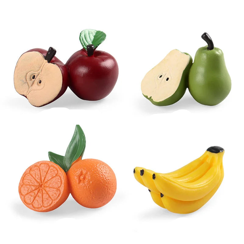 Montessori Toy Collection