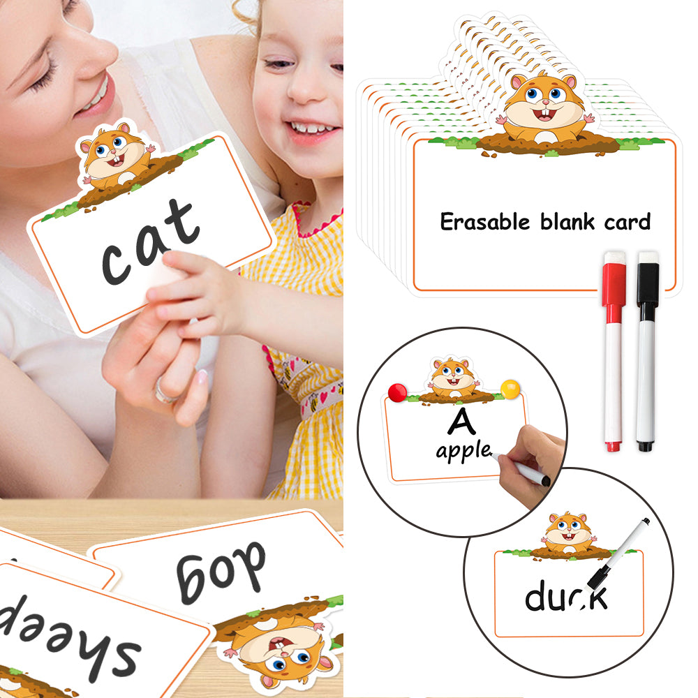Picture Matching Cards Suction