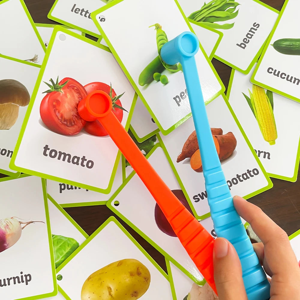 Picture Matching Cards Suction